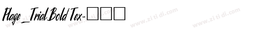 Plage_Trial Bold Tex字体转换